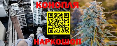 мяу мяу мука Бугуруслан